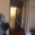 Rose Massage E-2877 in Huntsville-Decatur, Alabama Rose Massage E-2877 in Huntsville-Decatur, Alabama
