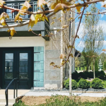 Balance Massage Therapy in Bloomington, Indiana