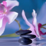 Lotus Massage in Asheville, North Carolina Lotus Massage in Asheville, North Carolina